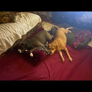 Meet your Posher, Adam